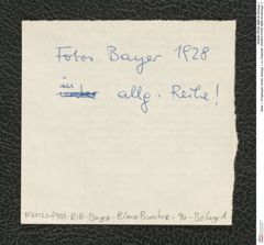 Seite 1, Eingelegter Zettel, Beilage 1 zu "Hallstatt" (NHMW-PRAE-BBB-90-Beilage-1)